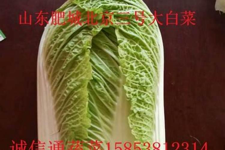一亩地用多少硼肥 如何正确施硼肥