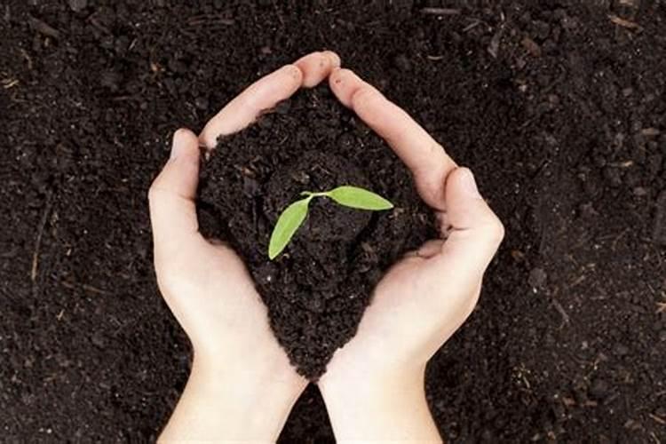 脑筋急转弯怎么让没有水的人活下去