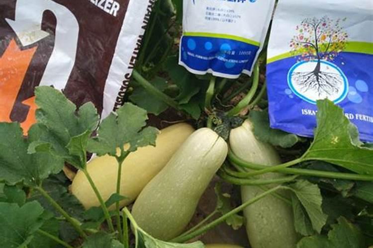 葫芦追肥用什么肥料好