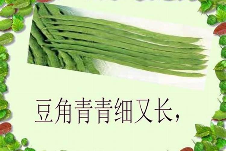 豆角施肥时间及方法