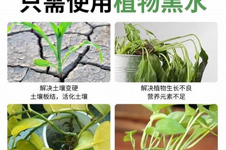 土壤活化剂可以和肥料一起用么
