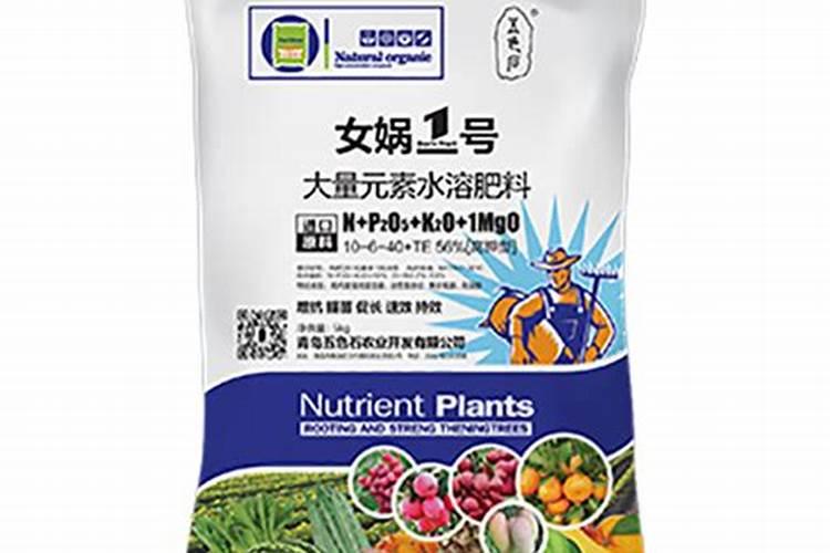 草莓各个时期的施肥方案 什么时候冲高磷肥