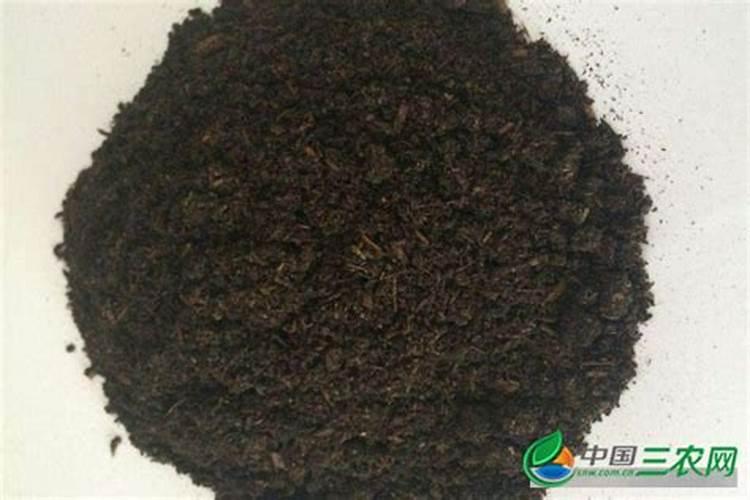 西红柿结果期水肥如何管理