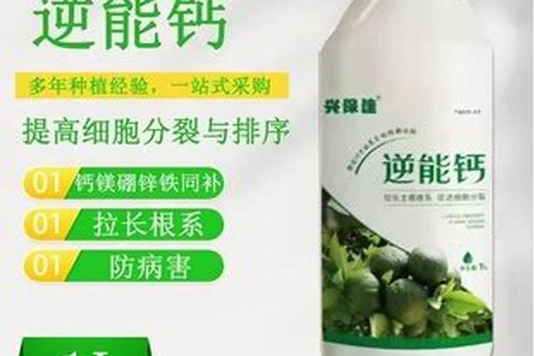 说说葡萄上使用钙和镁的事,如何正确的补充钙镁肥？