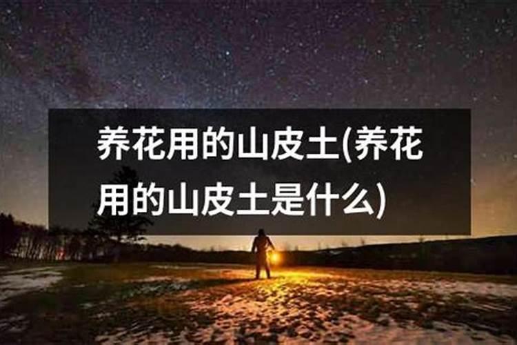 核桃树有毒吗