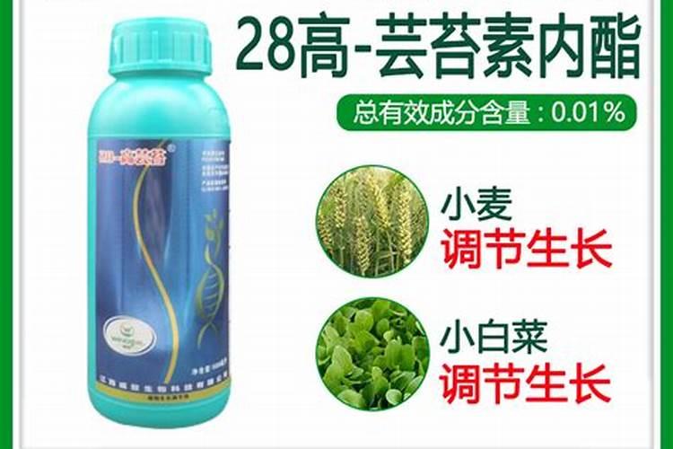 牡丹施肥用什么肥料