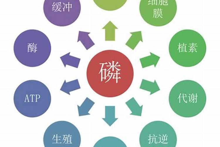 如何在盆景种植过程中,正确施用氮磷钾肥？