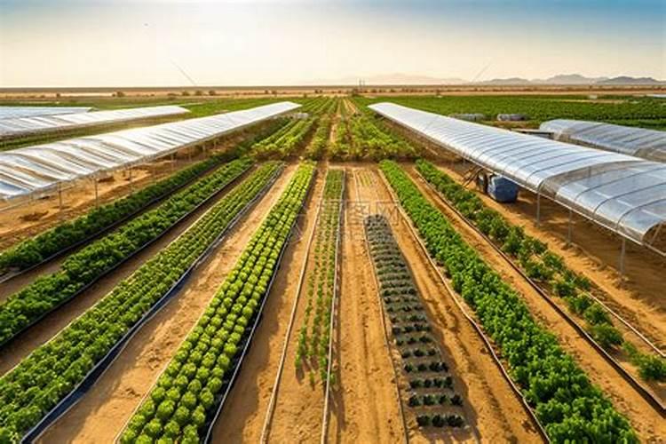 迎春花什么时候开开出的迎春花的颜色是什么样的