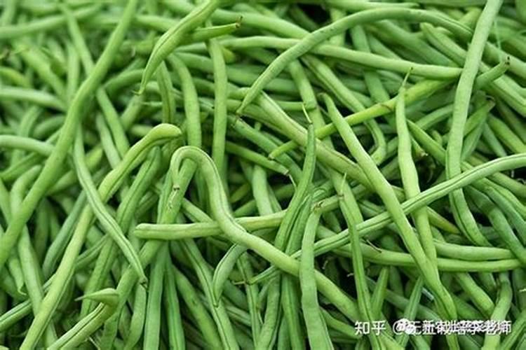黄腐酸钾一亩地用多少