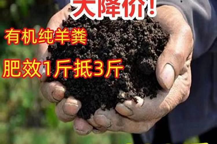 茄子移栽后几天施肥 茄子的施肥原则