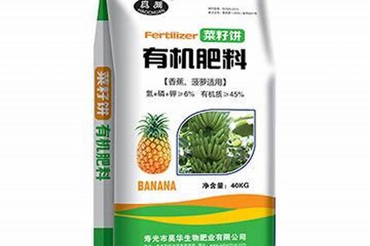 受过洪灾的茶树应该在根外追肥还是喷施叶面肥呢？为什么呢？