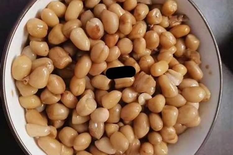 氮肥可以用什么代替