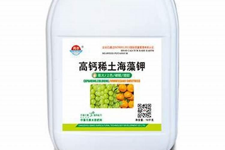 西红柿施什么肥果实膨大快？