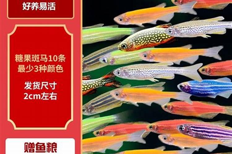 氮磷钾肥和硫酸钾肥种生姜那个好