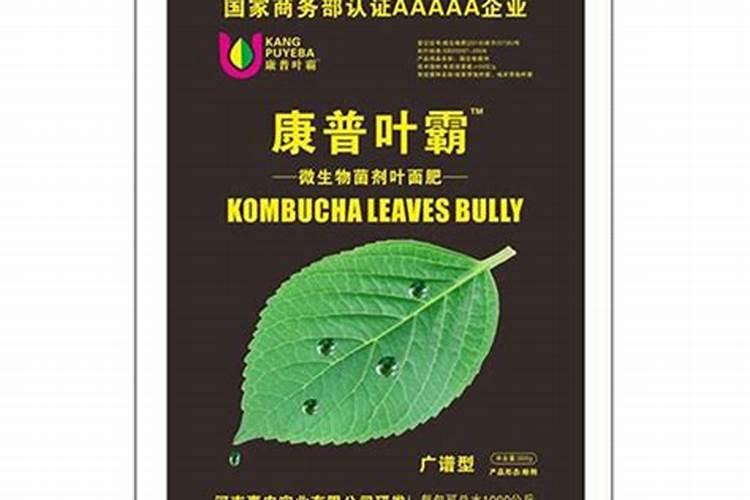 三角梅能浇硫酸亚铁吗