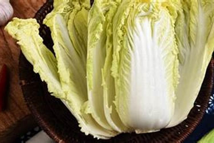 种菠菜过程中怎样正确放置肥料？