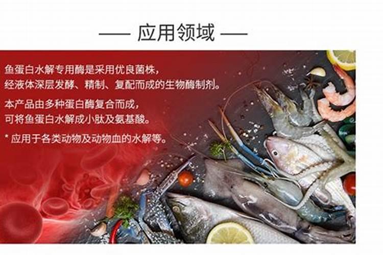凤尾竹的养殖方法和注意事项有哪