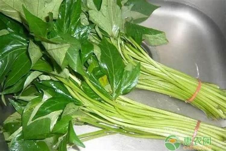 红薯控旺喷什么微量元素叶面肥