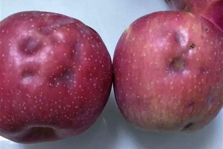 雅苒水溶肥有几个品牌