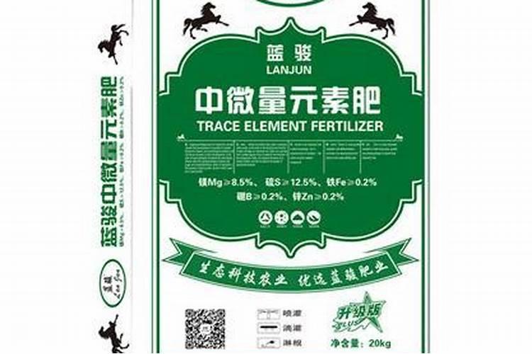 大棚网纹瓜如何管理