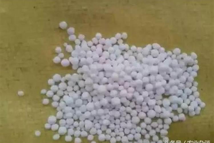 一盆花放几粒尿素合适