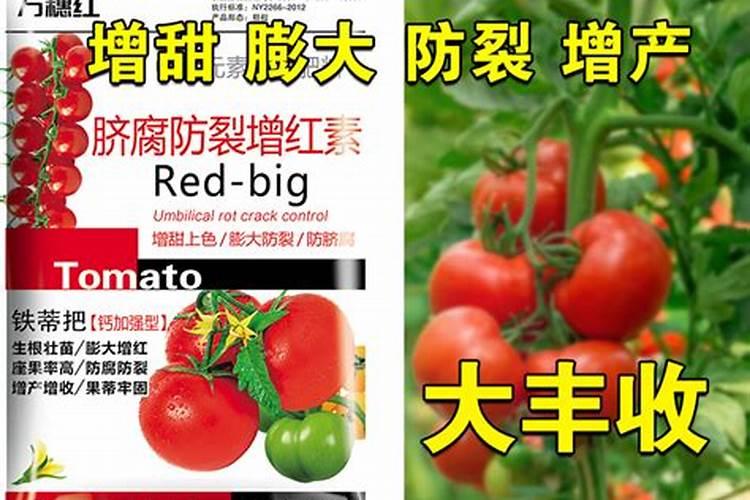 番茄转色期可以用202020的水溶肥吗？