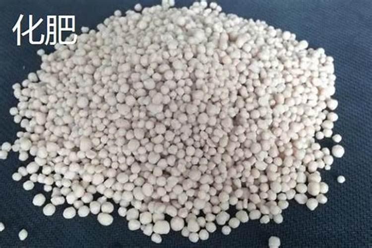 大颗粒尿素肥效时间 肥效可以持效多久