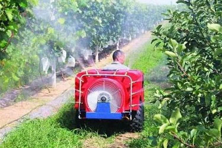 苹果用什么水溶肥好