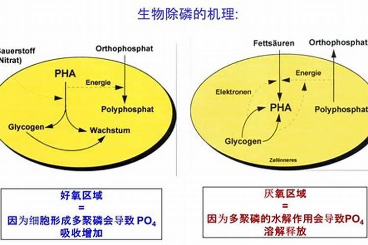 磷肥的沤制方法