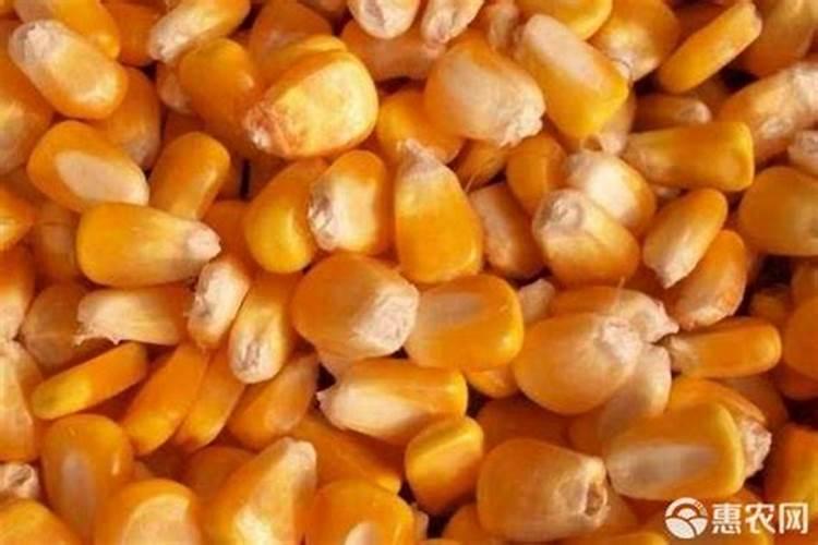 住商肥料玉米专用肥价格多少