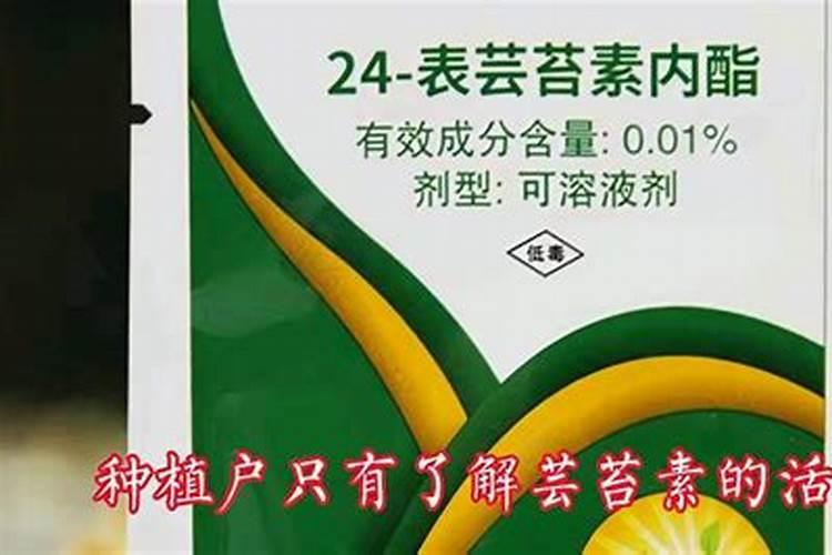 小麦打芸苔素好吗