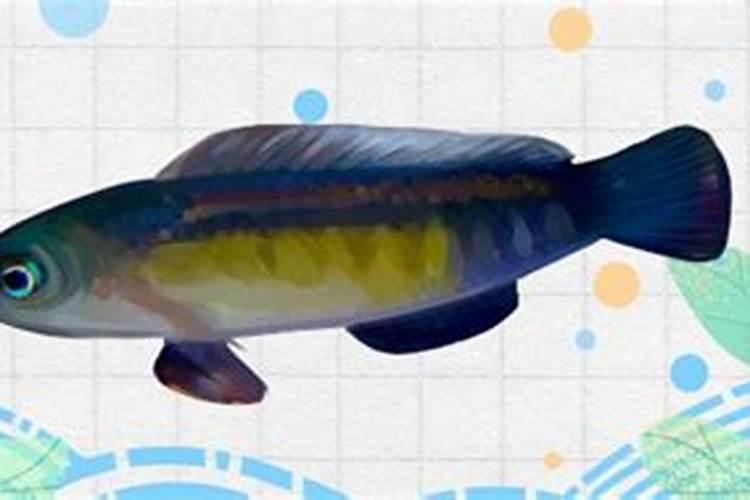家庭可以制作生物碳肥吗？