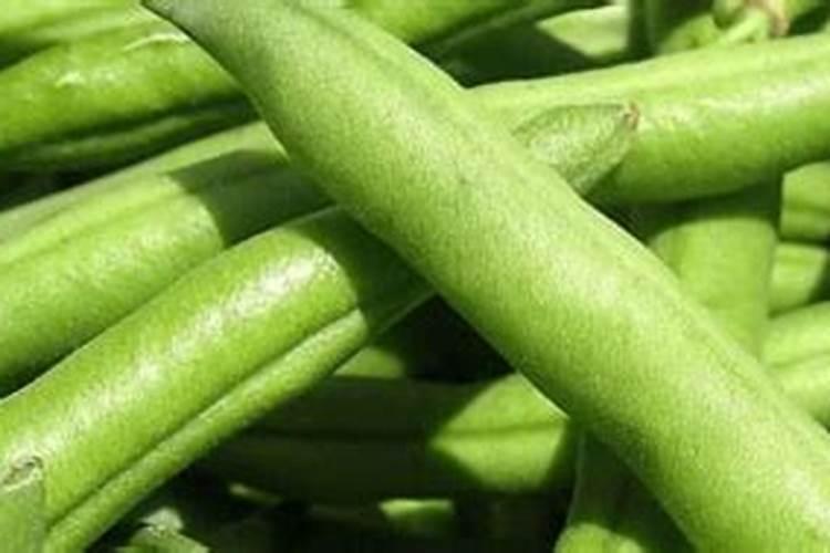 小麦打几遍芸苔素