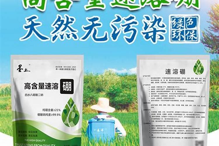 芸苔素内酯多久喷一次