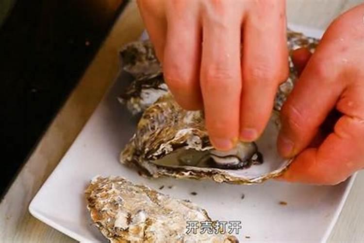 生蚝壳怎么做成花肥