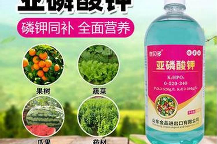 第一年葡萄小苗施什么肥(刚种葡萄苗用什么肥料长得快)