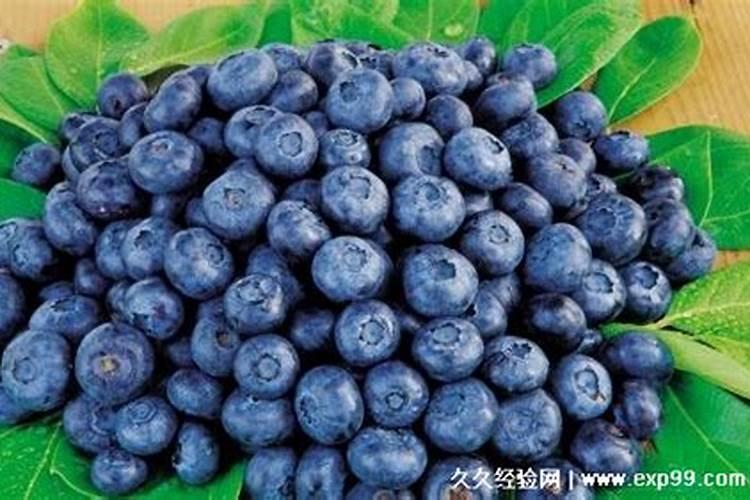 台风分为几个等级