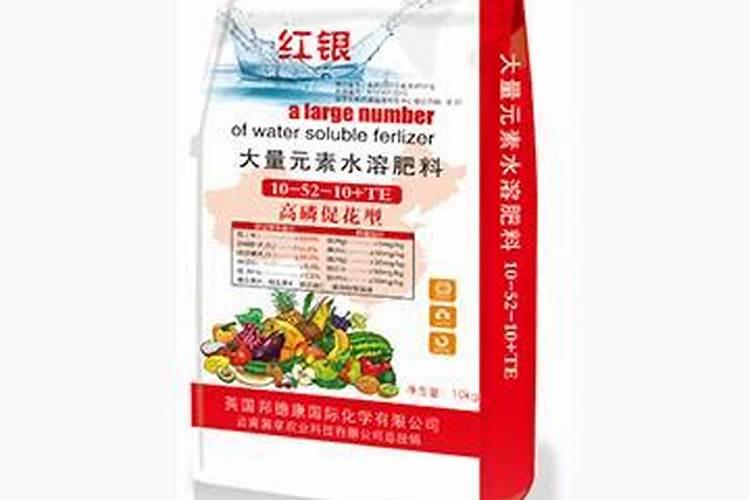 多肉植物浇什么肥好