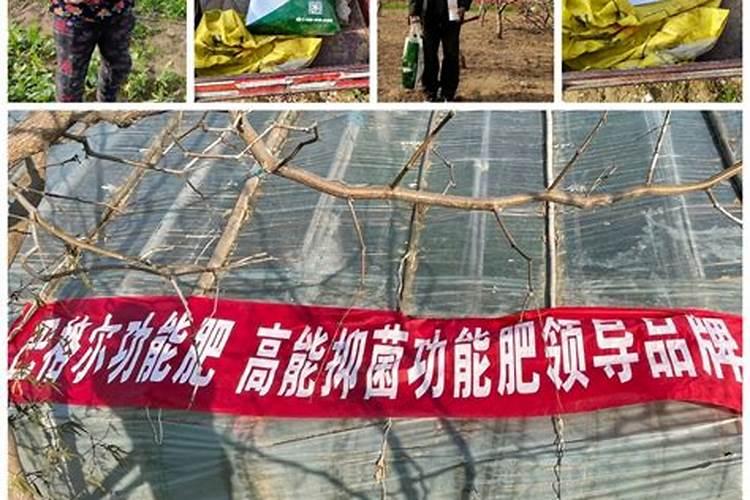 水溶肥埋地里化么