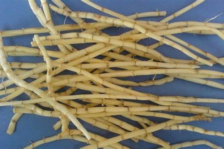 钙镁磷肥的作用及使用方法
