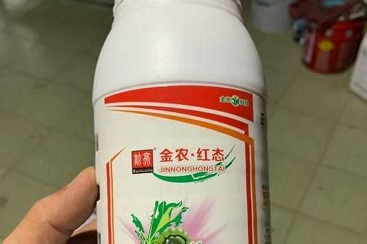 怎样才能让绿植更加茂盛？