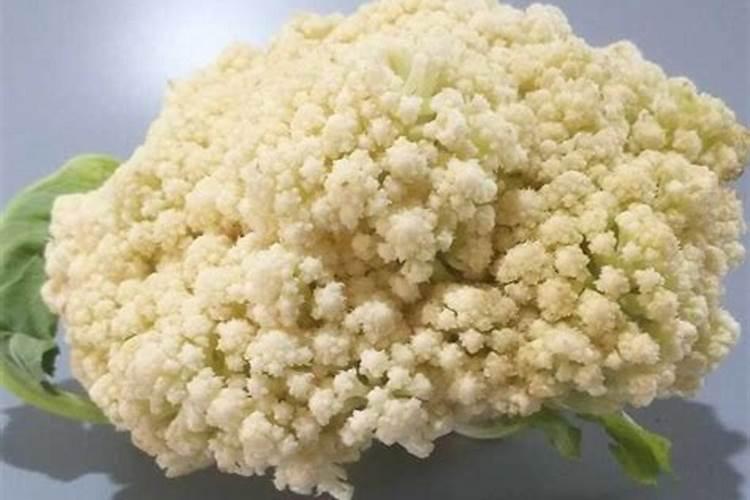 花菜种植技术及施肥方法是怎么样的？