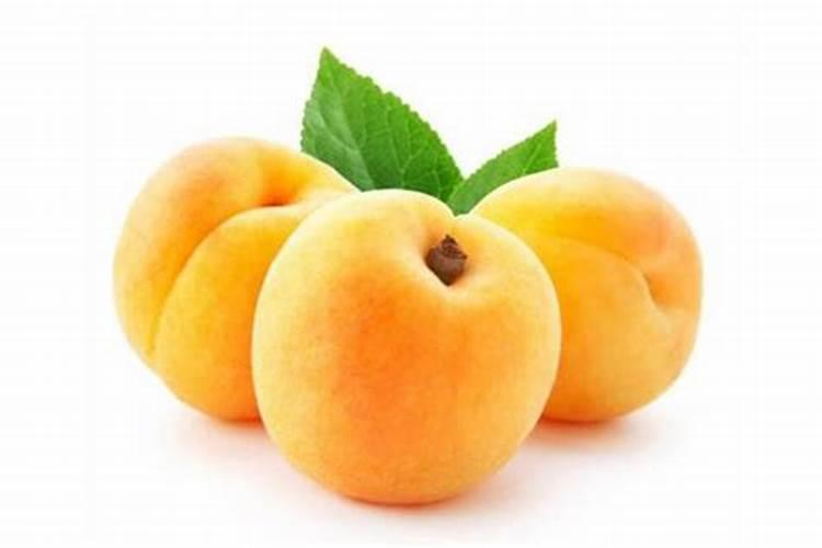 桃树施什么肥料才是最好的？