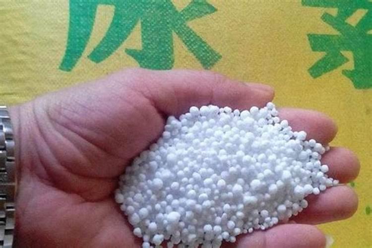 哪种肥料含氮肥高