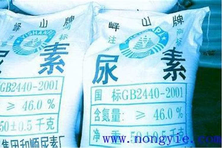 盐碱地一般缺什么肥料