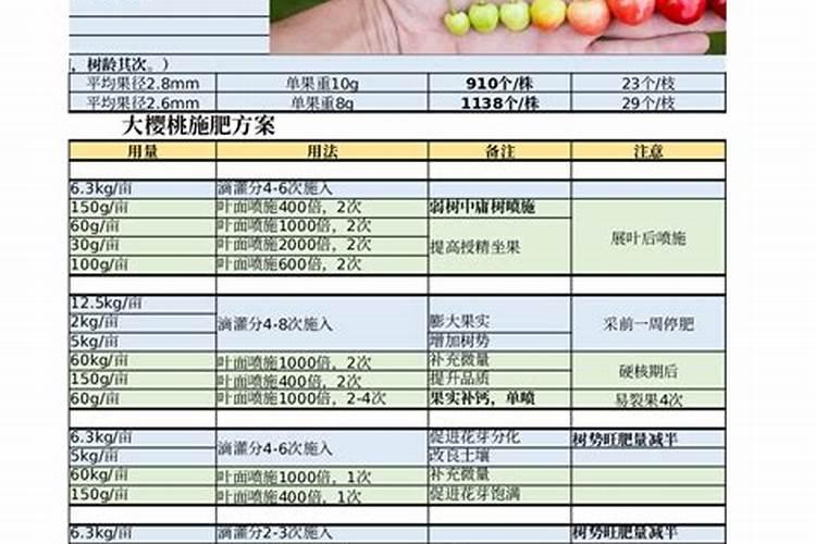 一棵樱桃树施多少肥(大樱桃树什么时候施肥,多少量)