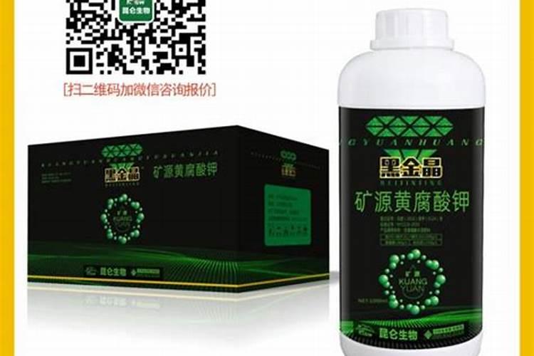 种水养花是要把水换了,还是直接加水