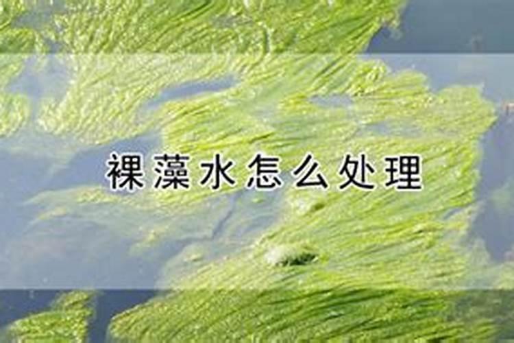 简述水产养殖中使用生物肥的技术特点