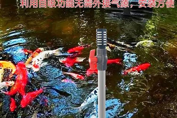 大棚种植豆角每亩的产量是多少斤？