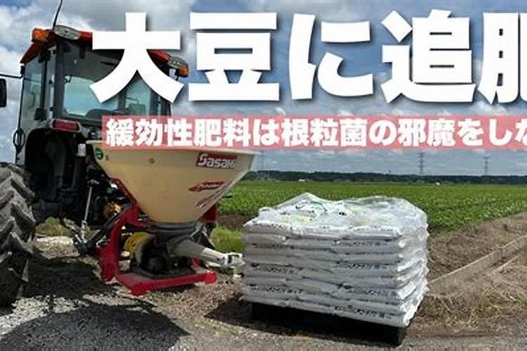 茶叶喷什么叶面肥可以有效提高质量